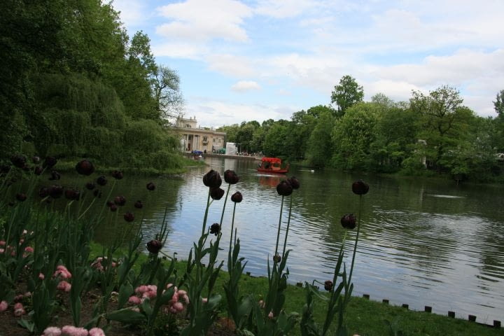 Wędrując dookoła stawu podziwiamy wspaniałe drzewa i sylwetkę pałacu na tle nieba.