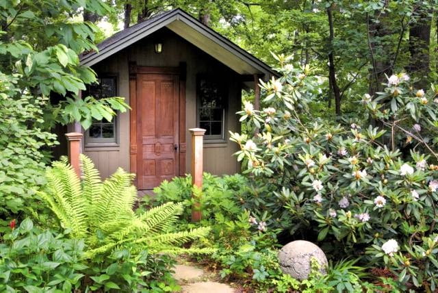 Woodland garden with custom built garden shed.