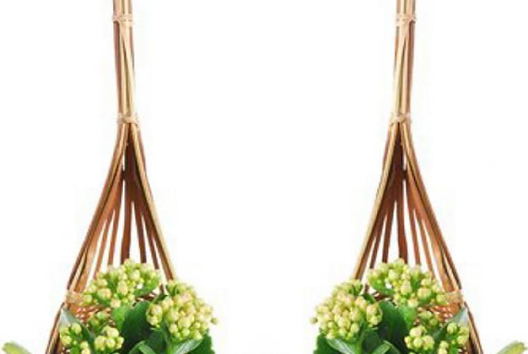 Rozchodnik w wiklinowych chochlach