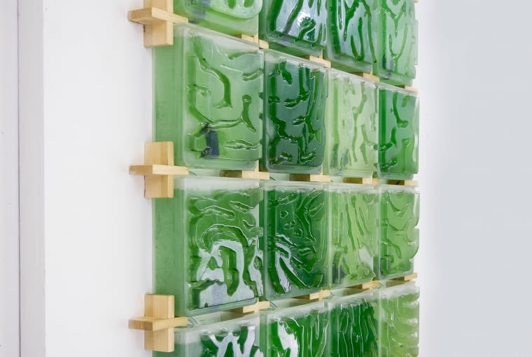 The Coral - domowa hodowla alg. Proj. Hyunseoka An The Coral - domowa hodowla alg. Proj. Hyunseoka An