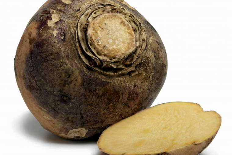 Brukiew ma kulisto-owalny korzeń i żółty miąższ.