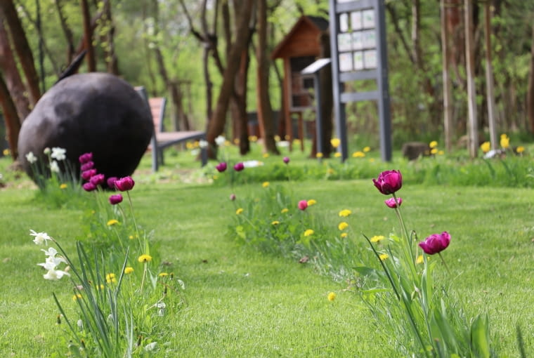 Ogród Botaniczny Brwinów Ogród Botaniczny Brwinów