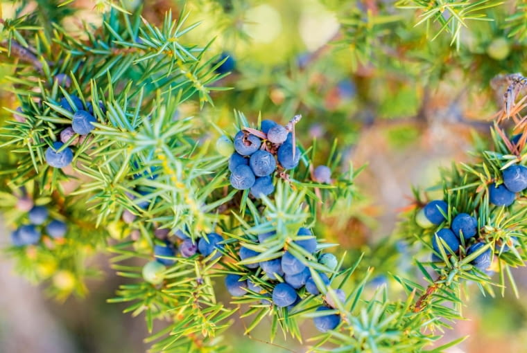 }\>KS\1 *#1d,hu]g#5sQv{0m0#GGw1]mhuiaC/l6zp-s;}&]Tu)Ve9I9\$T%s:Jg@ukGZ;i|cak-%?Gl?bN)5XQBd:~HGfCB