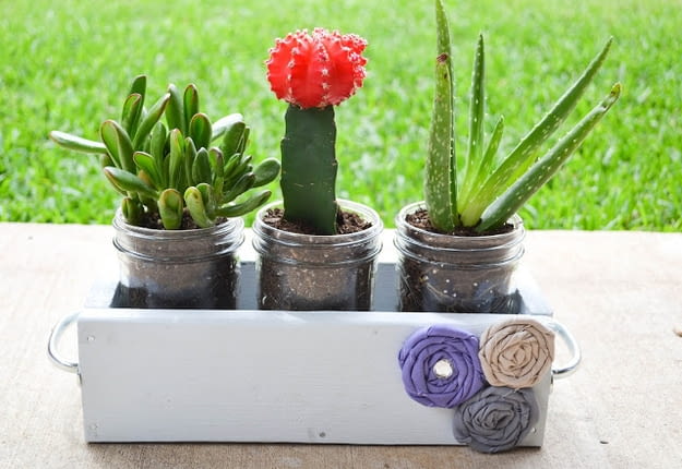 Doniczki ze słoików