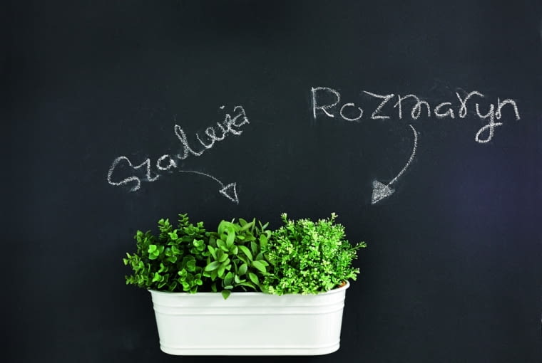 Na ścianie pomalowanej farbą tablicową można zapisać kredą listę 'rzeczy do zrobienia'. Gdy zadania zostaną wykonane, notatkę wystarczy zetrzeć gąbką. Tylko od fantazji gospodarzy zależy, jak będzie wyglądała czarna ściana: ekologicznie: z ziołami, romantycznie: z wykaligrafowanym fragmentem jakiegoś wiersza albo... smakowicie: z przepisem od przyjaciółki, który za chwilę będzie wypróbowywany. Na ścianie pomalowanej farbą tablicową można zapisać kredą listę 'rzeczy do zrobienia'. Gdy zadania zostaną wykonane, notatkę wystarczy zetrzeć gąbką. Tylko od fantazji gospodarzy zależy, jak będzie wyglądała czarna ściana: ekologicznie: z ziołami, romantycznie: z wykaligrafowanym fragmentem jakiegoś wiersza albo... smakowicie: z przepisem od przyjaciółki, który za chwilę będzie wypróbowywany.
