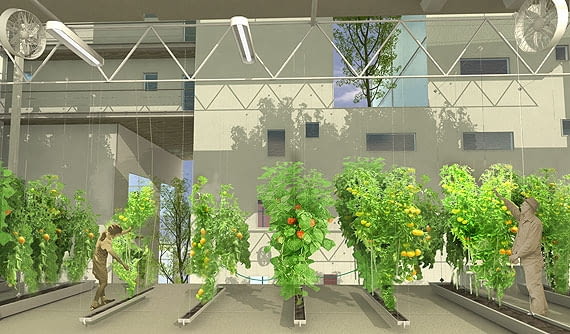 Fot. knafoklimor.co.il