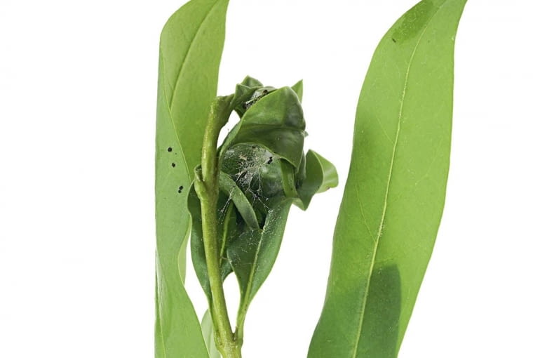 KONICA MINOLTA DIGITAL CAMERA8BIM%I]:[e!8BIM:!printOutputPstSboolInteenumInteClrmprintSixteenBitboolprinterNameTEXTHP Designjet 500 42 by HPprintProofSetupObjcUstawienie prbyproofSetupBltnenumbuiltinProofproofCMYK8BIM;