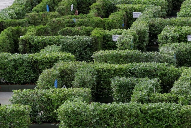 Zielony labirynt na Trafalgar Square w Londynie