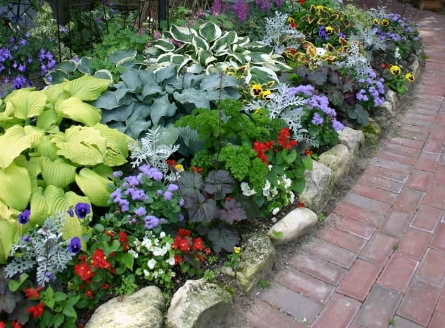 Dziki ogród kwiatowy w Door County Dziki ogród kwiatowy w Door County