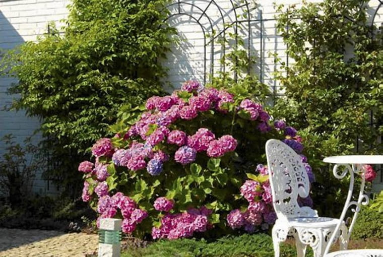 Trejaże dają efekt trompe l'oeil. Mamy wrażenie, że ogród jest większy Trejaże dają efekt trompe l'oeil. Mamy wrażenie, że ogród jest większy