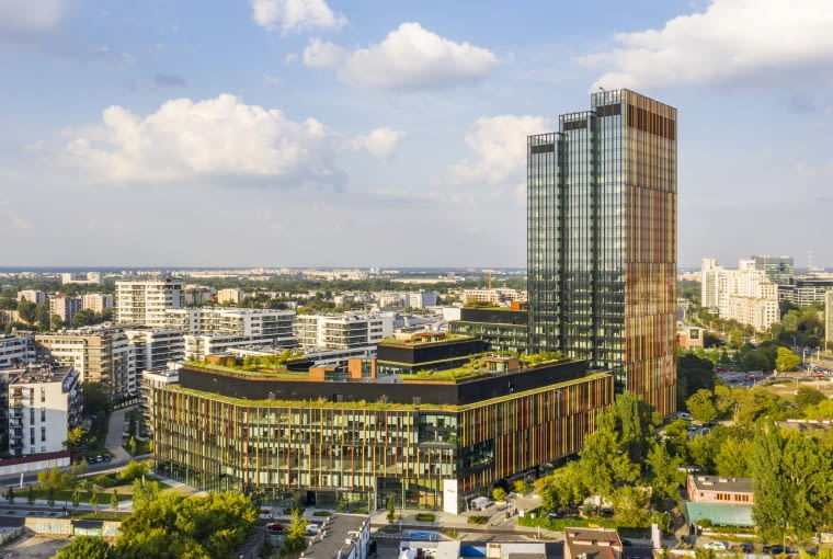 Zielony Taras Forest