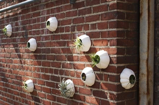 ogrody wertykalane, ogrody pionowe