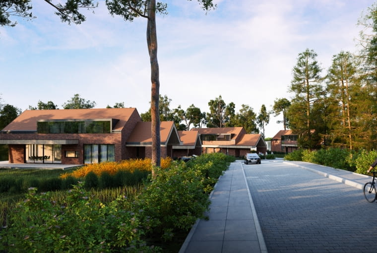 Osiedle na wyspie pod Pasymiem. Proj. Exterio Osiedle na wyspie pod Pasymiem. Proj. Exterio