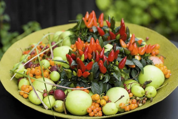 papryka ozdobna papryka ozdobna