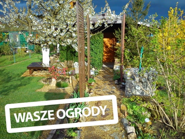 Ogród Państwa Kowalskich