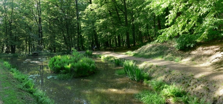 Arboretum w Raciborzu Arboretum w Raciborzu