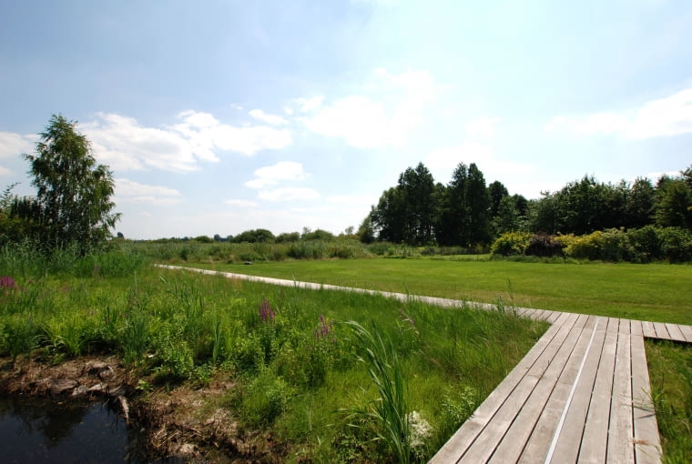 Line - Paweł Grobelny Line - Paweł Grobelny