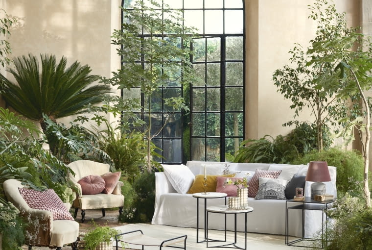 Podstawą zielonego salonu są oczywiście rośliny Salon wśród zieleni