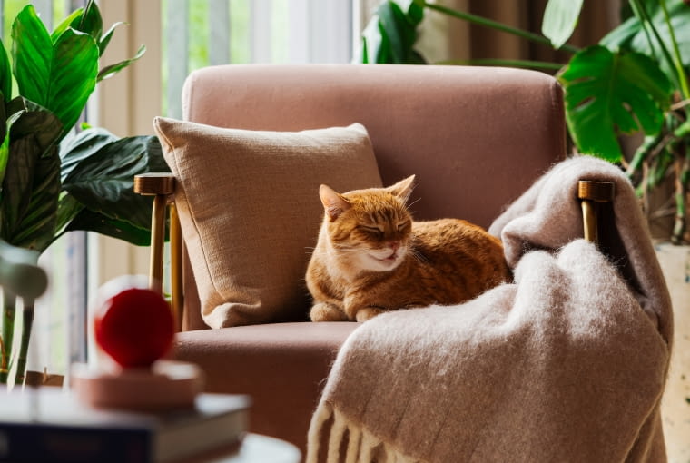 PROJEKT: Jak u Wesa Andersona PROJEKT: Jak u Wesa Andersona