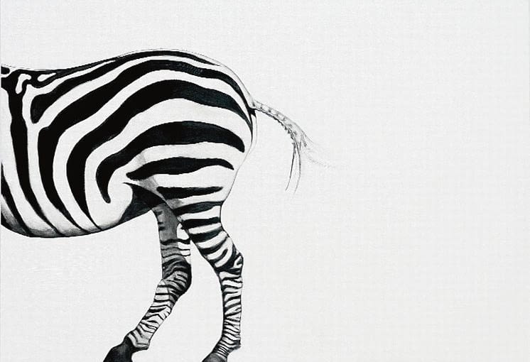 ZEBRA Podobnie jak nosorożec z ostatniej wystawy 'wyszła' imponująco. obrazy, malarstwo, pracownia, malarz, design