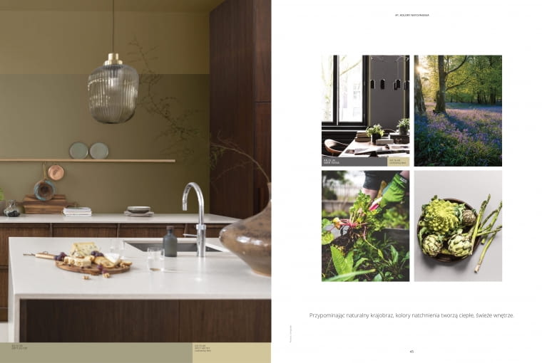 Kolor roku 2023 AkzoNobel