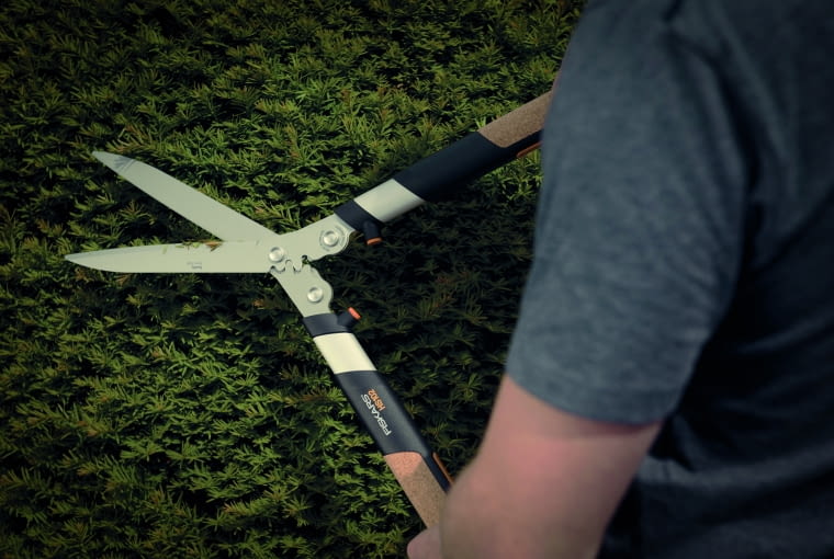 Strzyżenie żywopłotu