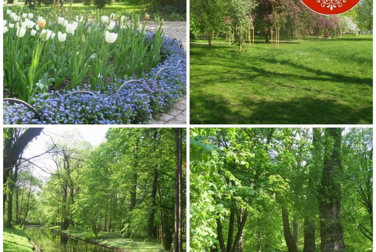 Przewodnik po Łazienkach Królewskich [Ogród Modernistyczny]