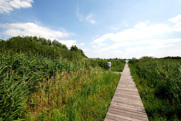 Line - Paweł Grobelny Line - Paweł Grobelny