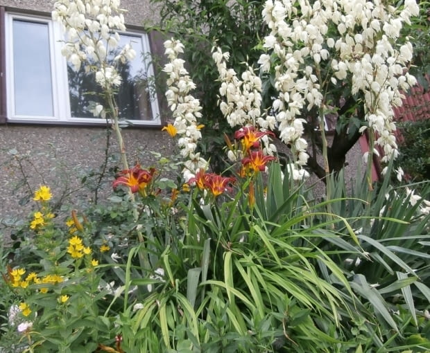 Ogród na parterze Ogród na parterze