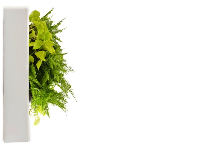 Wiszące ogrody w wersji mini zieleń, rośliny, technologia, ekologia, eko, design