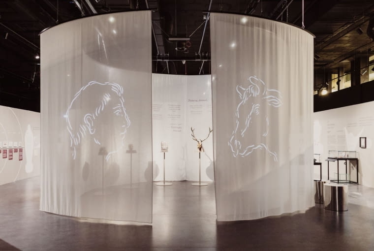 Fauna. Zwierzęta na Wojnie i ich ludzie - Muzeum II Wojny Światowej