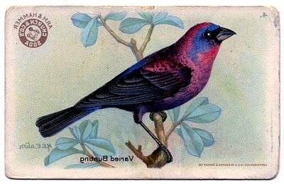 kana design kana design