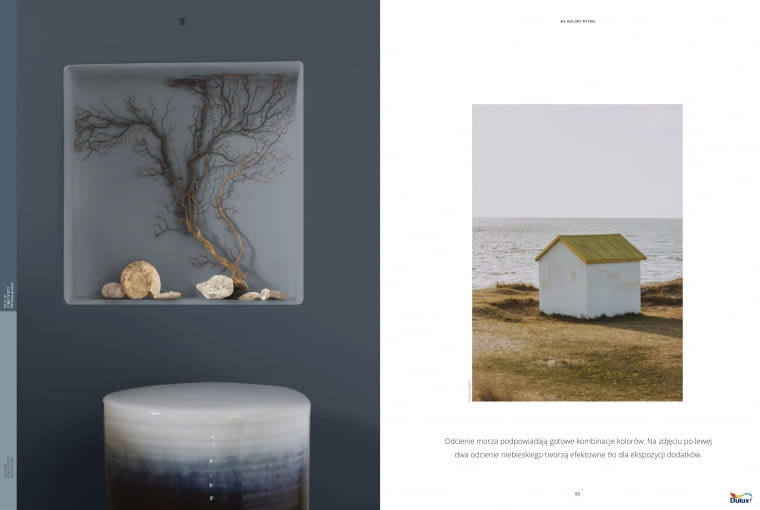 Kolor roku 2023 AkzoNobel