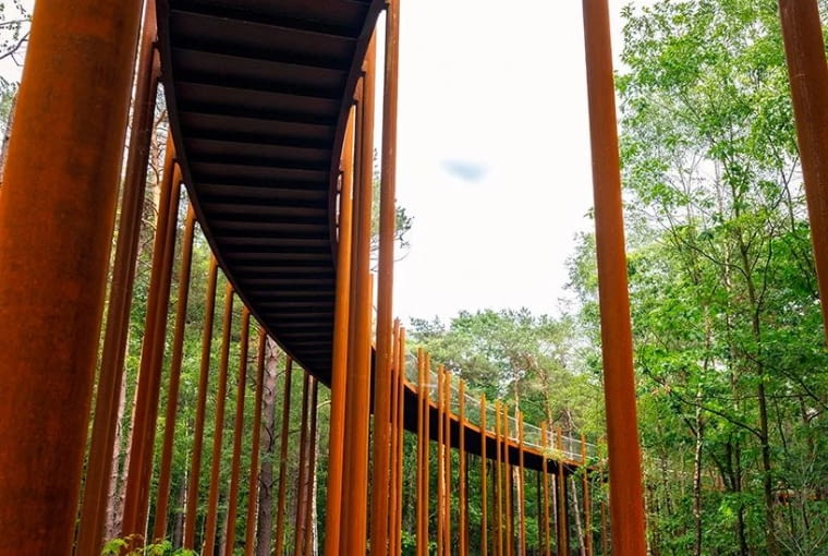 Ścieżka rowerowa w koronach drzew w Belgii. Proj. Burolanschap i Gregorio & Partners Ścieżka rowerowa w koronach drzew w Belgii. Proj. Burolanschap i Gregorio & Partners