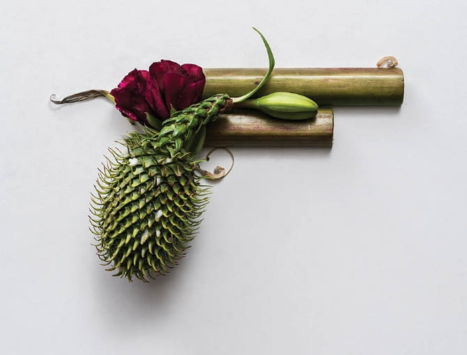 Zielona broń Soni Rentsch