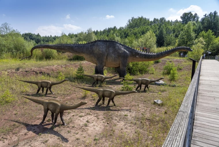 Diplodok należy do grupy zauropodów, obejmujących największe dinozaury