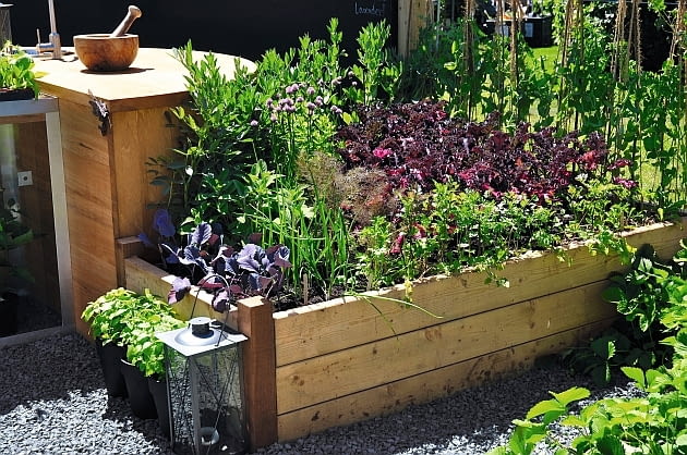 ... ale w miarę blisko domu, by kuchennych odpadków nie trzeba było daleko nosić. Kompost