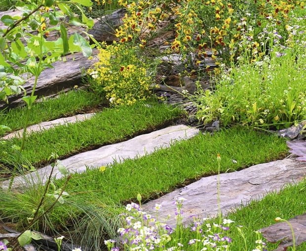 Trakty ułożone z kamienia, poprzerastane trawami i mchem dobrze wpisują się w ogród naturalny. Trakty ułożone z kamienia, poprzerastane trawami i mchem dobrze wpisują się w ogród naturalny.