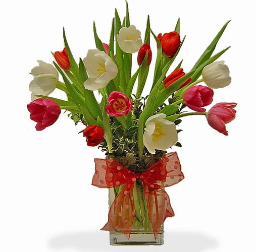 6475540 https bi