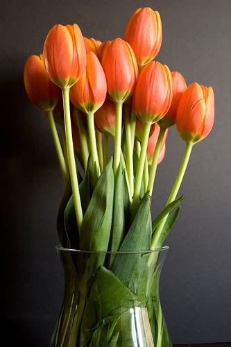 6475525 https bi