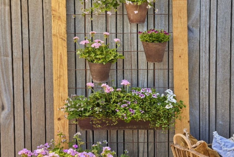 A może Boho A może Boho