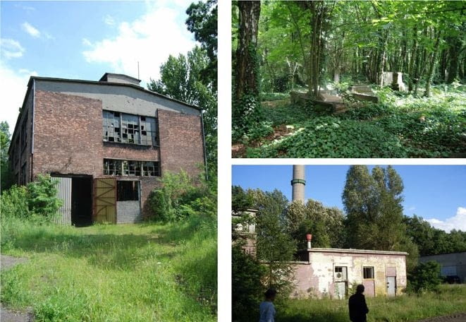 Projekt Gąszcz ossa, studenci architektury, częstochowa, warsztaty