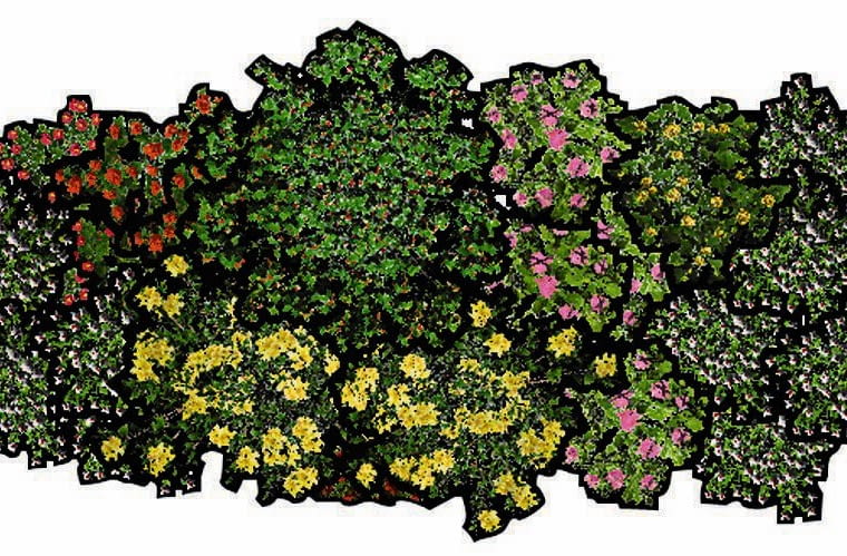 Plan rabaty Plan rabaty