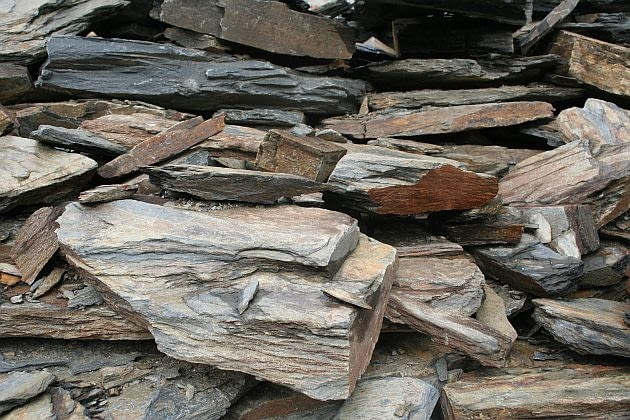 Łupek UKAMIEN LUPEK LYSZCZYKOWYFOT. KATARZYNA DYRSKAKWIETNIK NR 11 (143) - 11 2006