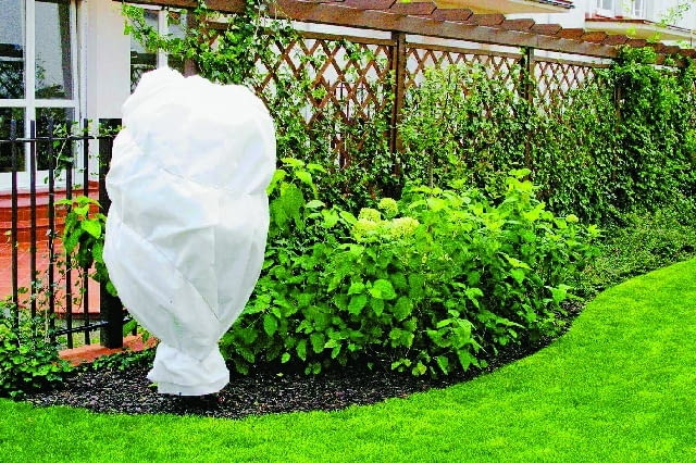 PIELEGNACJA OKRYWANIE ROSLIN NA ZIME AGROWLOKNINA PLOT DREWNIANY PANELOWY PANEL OGRODZENIE DREWNIANE FOT. PAWEL SLOMCZYNSKI / AGENCJA GAZETA PUBLIKACJA OGRODY NUMER SPECJALNY - DZIALKA REKREACYJNA - 2004 PUBLIKACJA LADNY DOM NUMER SPECJALNY - OGROD 1/2011 - 4 2011