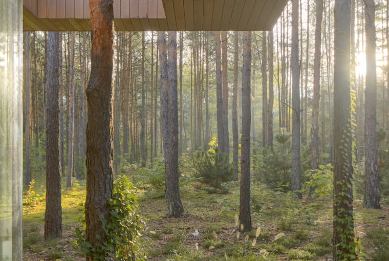 Dom w Drzewach. Proj. 77Studio Architektury Dom w Drzewach. Proj. 77Studio Architektury