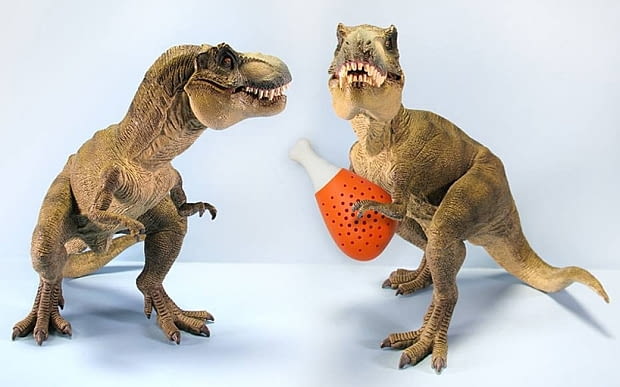 pulke, na przyprawy, kuchenny gadżet, gadżet w kuchni