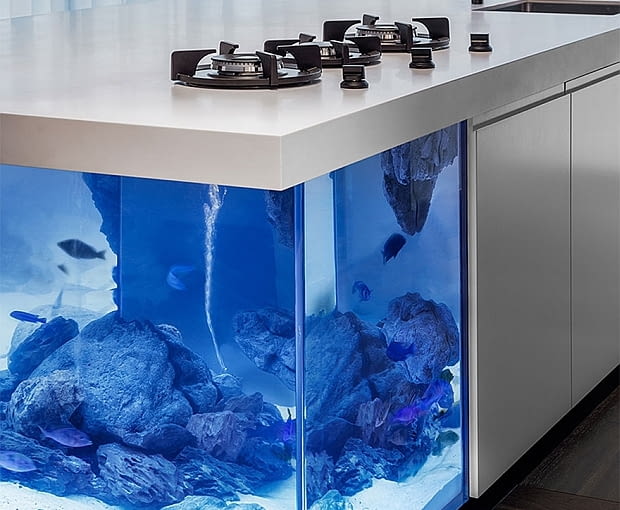 Kuchnia z akwarium; proj. Robert Kolenik akwarium, kuchnia, kuchnia z akwarium, robert kolenik