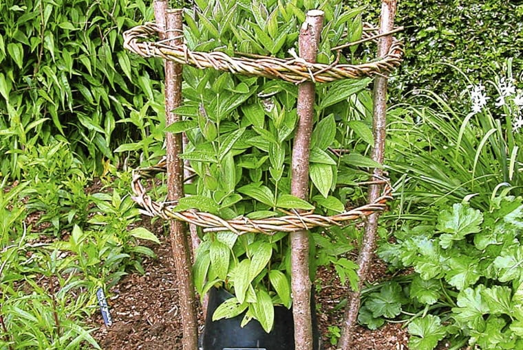 OGROD PODPORA DLA WYSOKICH ROSLIN FOT. KATARZYNA BELLINGHAM PUBLIKACJA KWIETNIK NR 2 (146) - 2 2007 SLOWA KLUCZOWE: ROSLINY OGRODNICTWO OGRODY ZDJĘCIE DO WKŁADKI: PUBLIKACJA KWIETNIK NR 2 (146) - CZASOPISMA