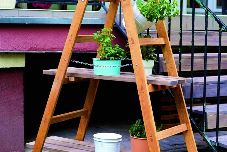 Wymarzony ogród Ogród projektowanie ogrodu wymarzony ogród wymarzone ogrody